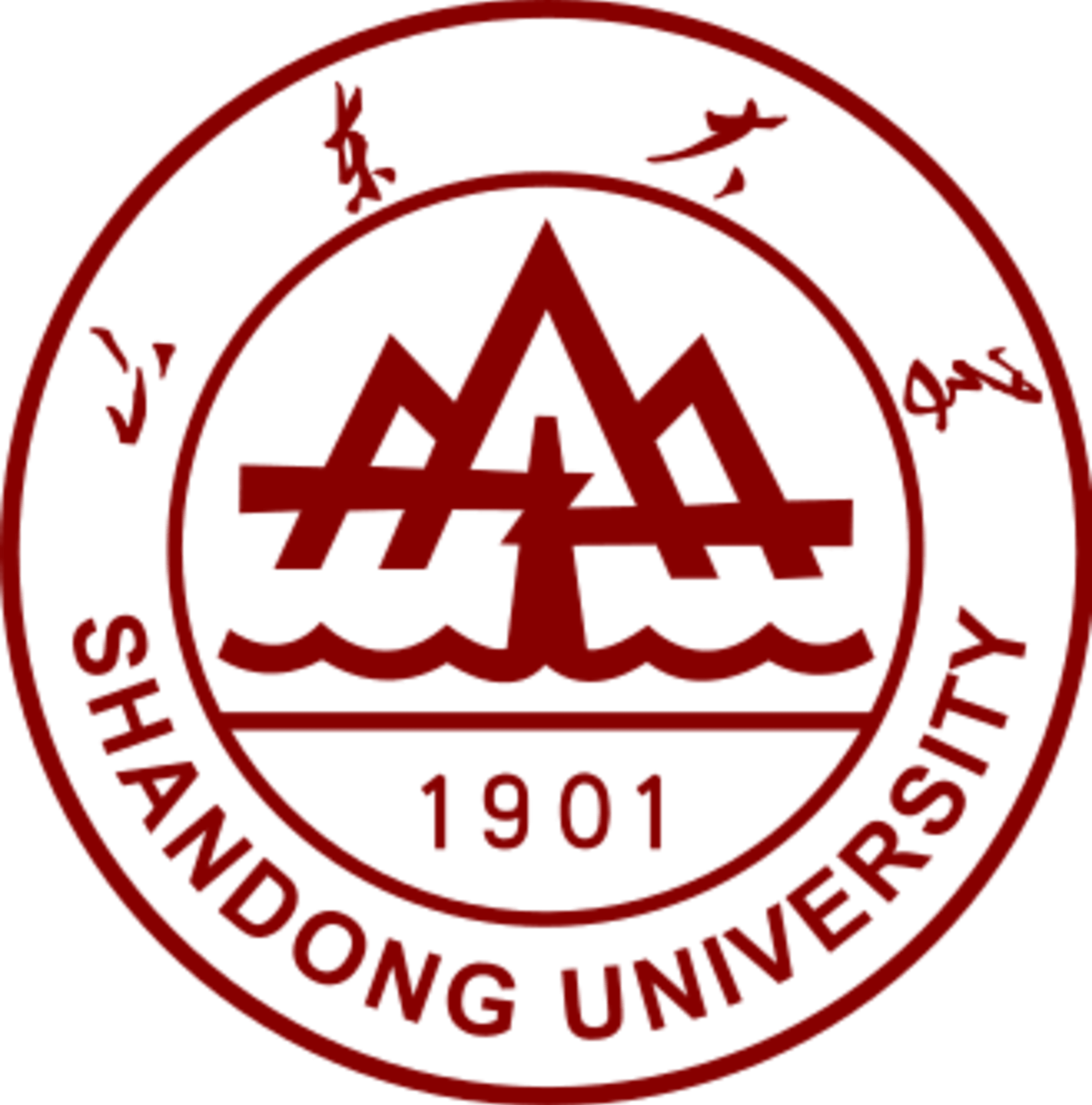 Shandong University
