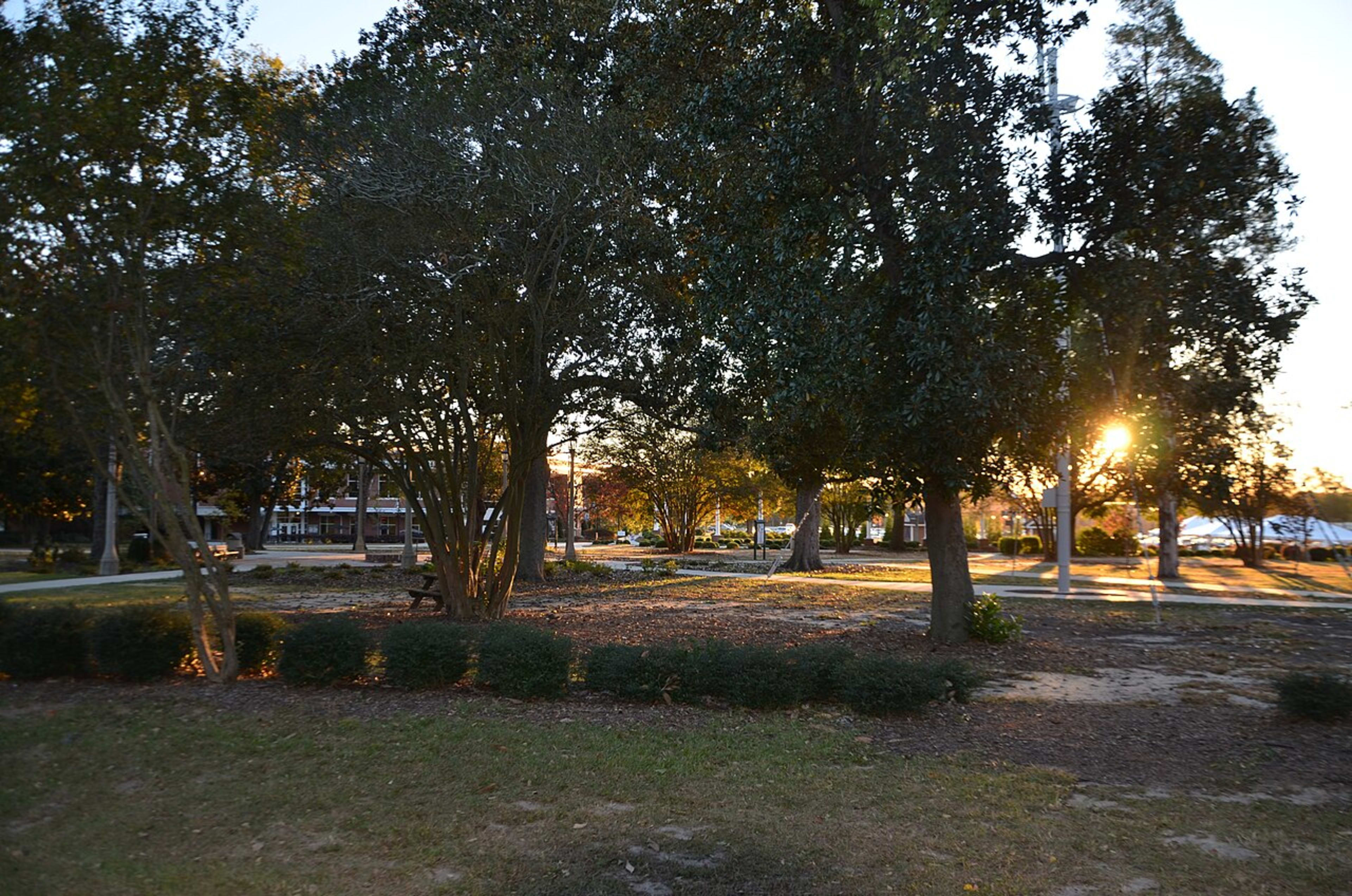 Augusta University