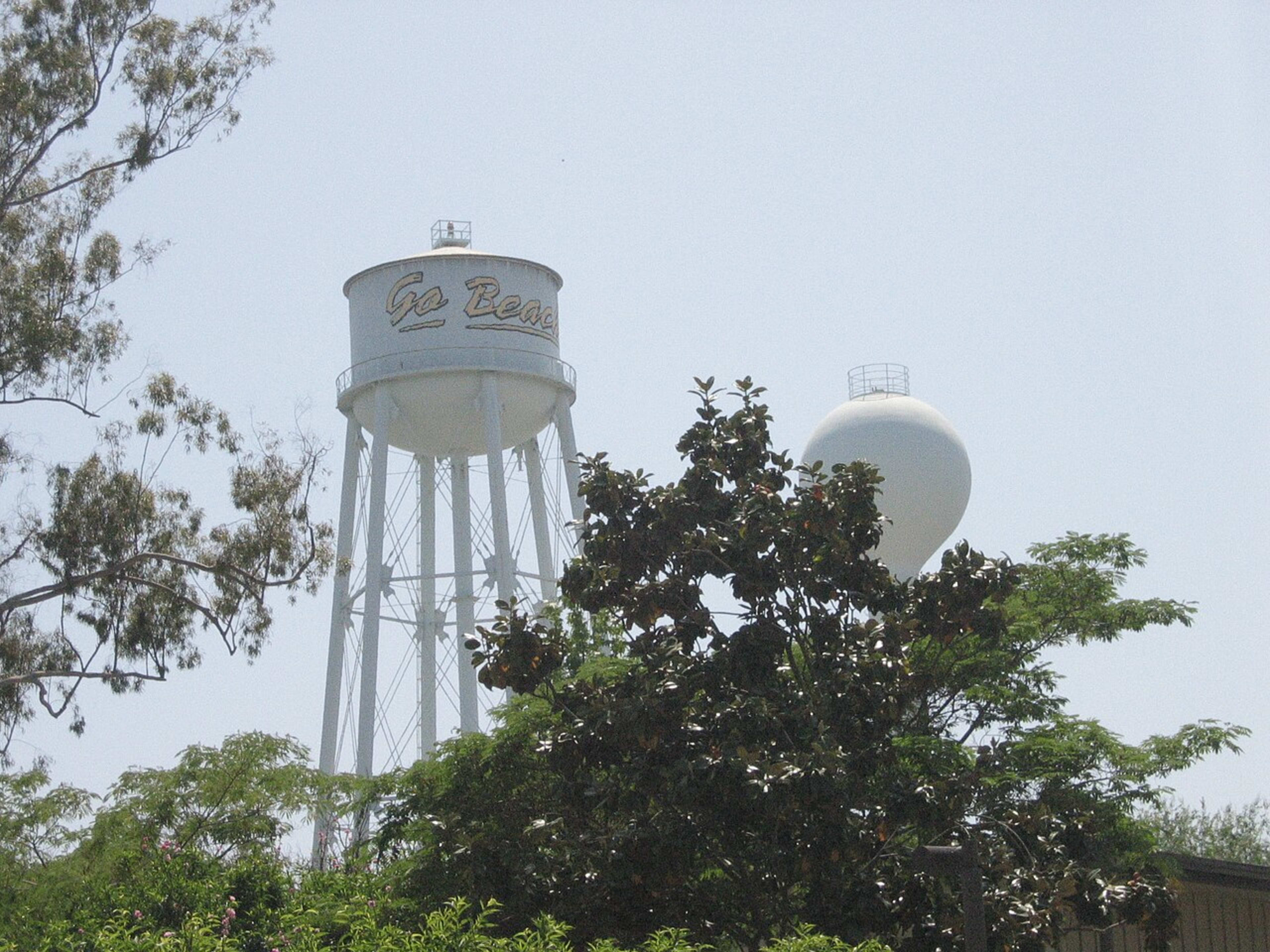 California State University, Long Beach campus
