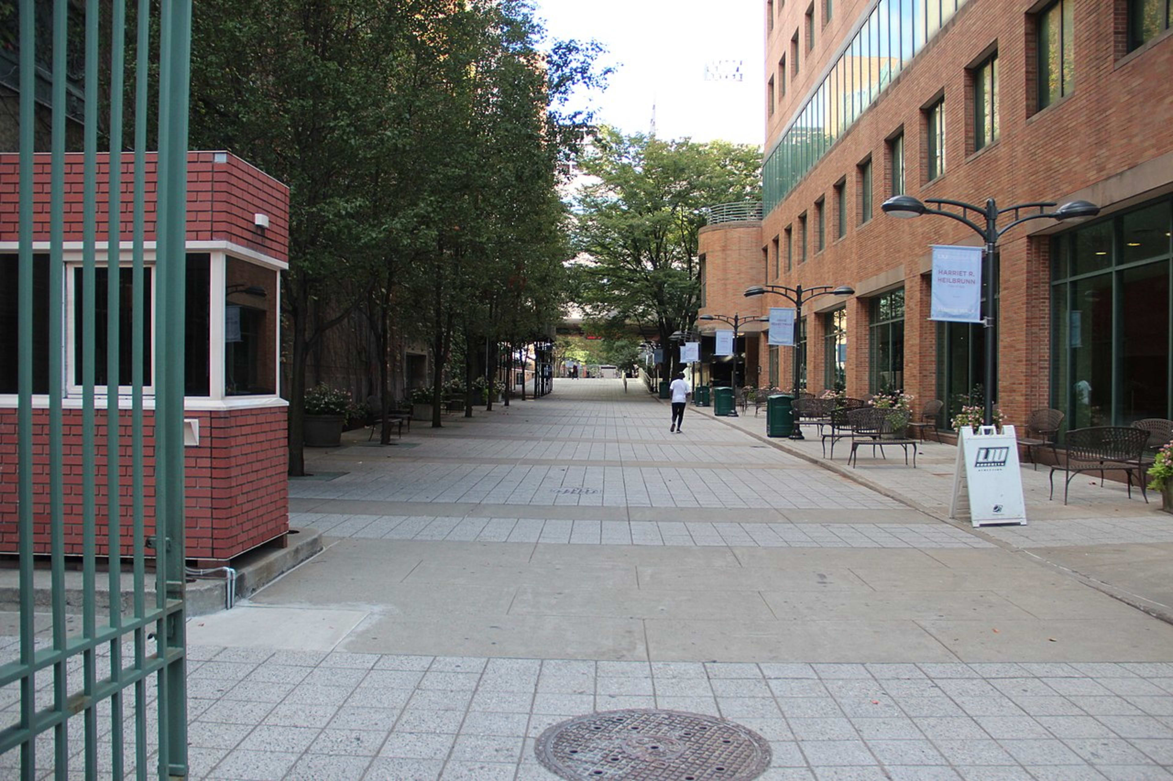 Long Island University campus