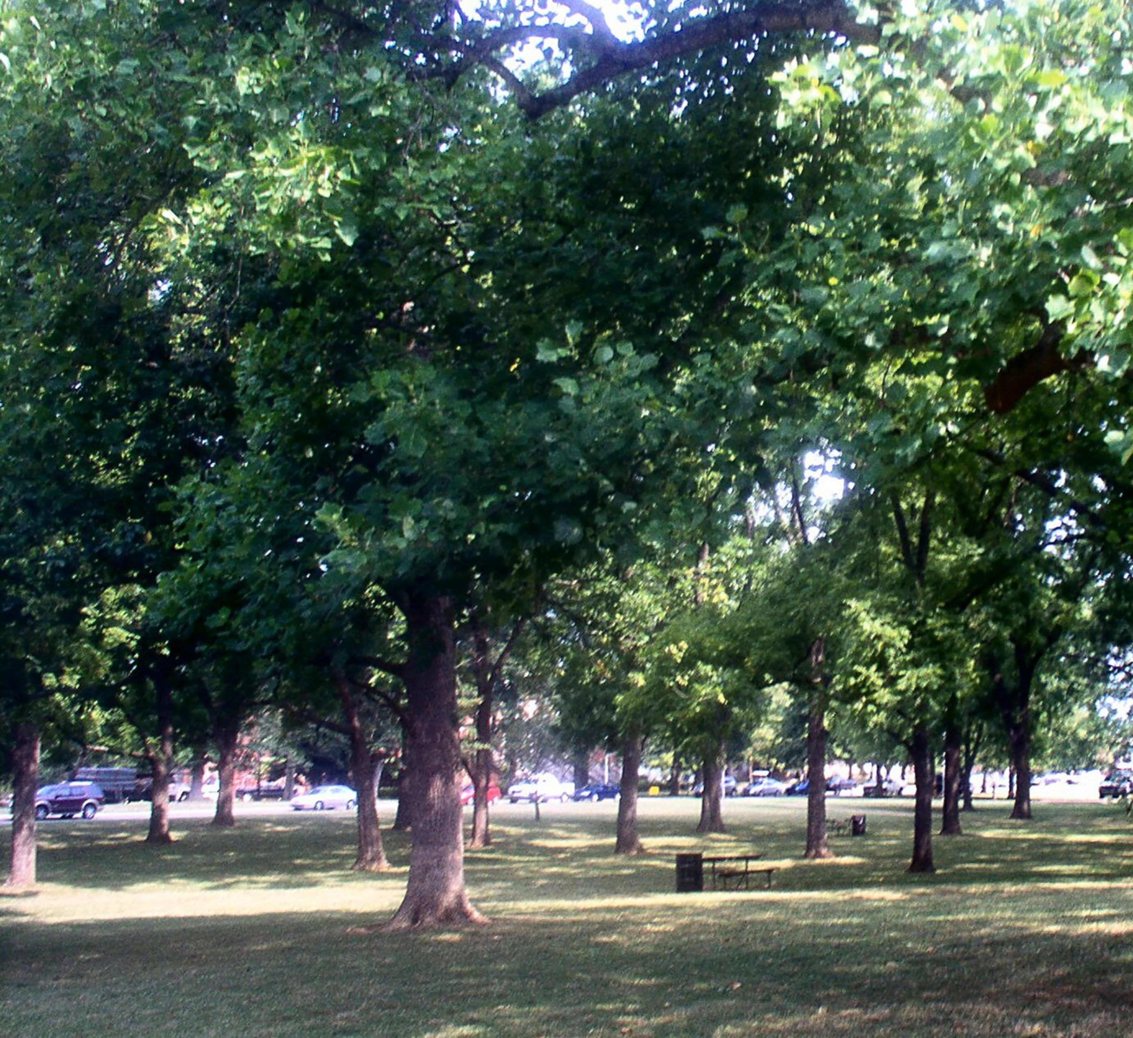 Middle Tennessee State University campus