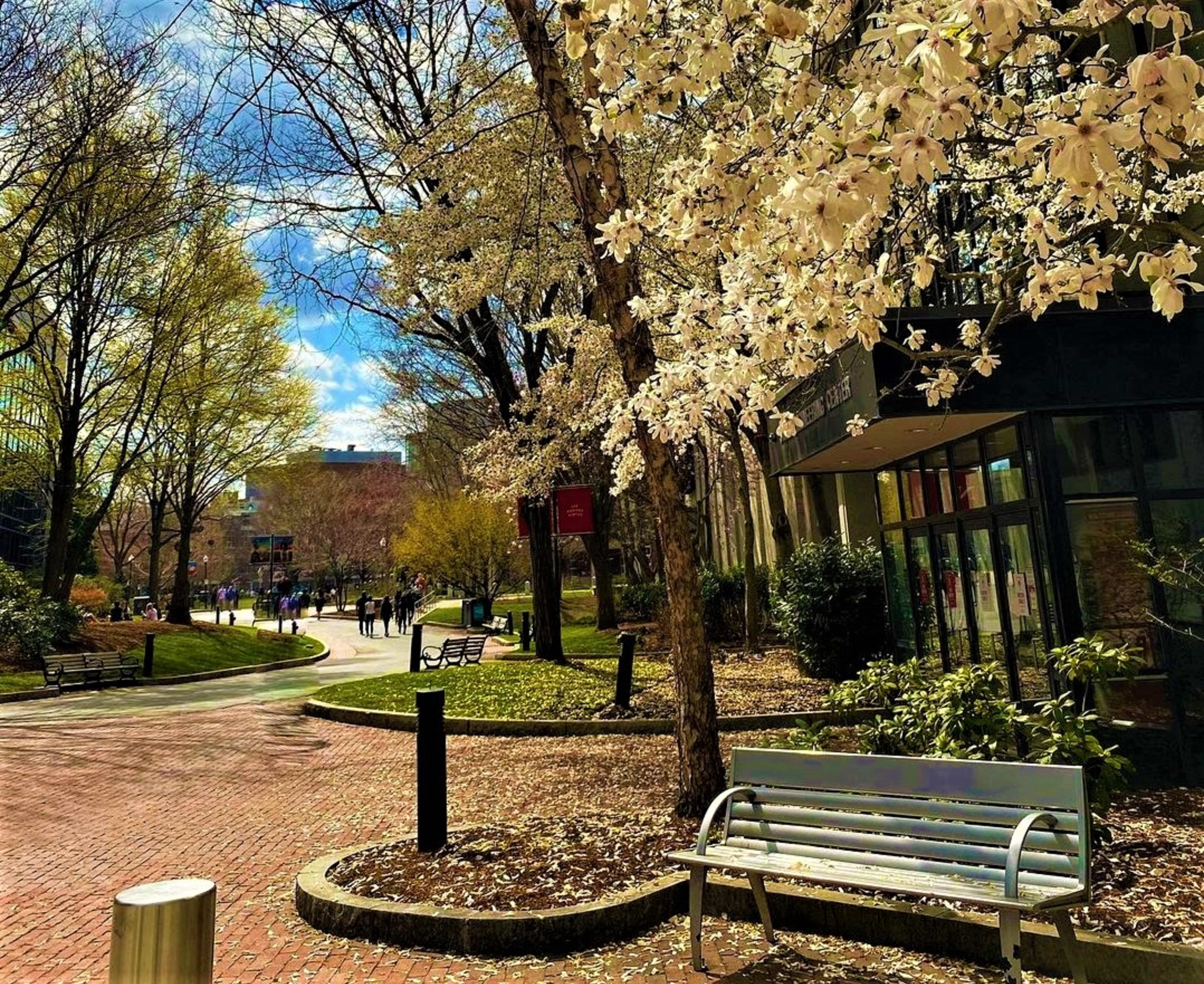 Northeastern University