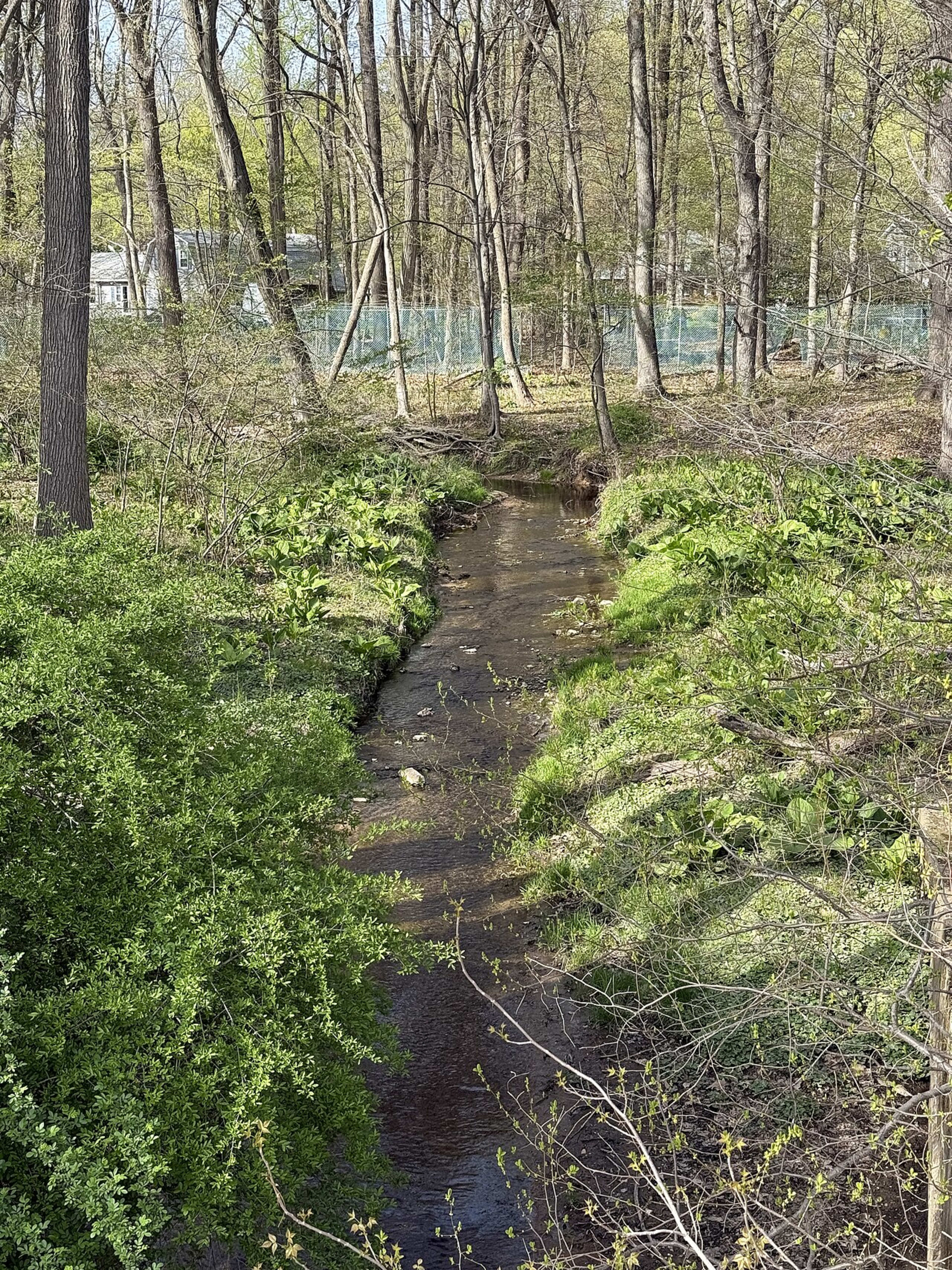 Rider University campus