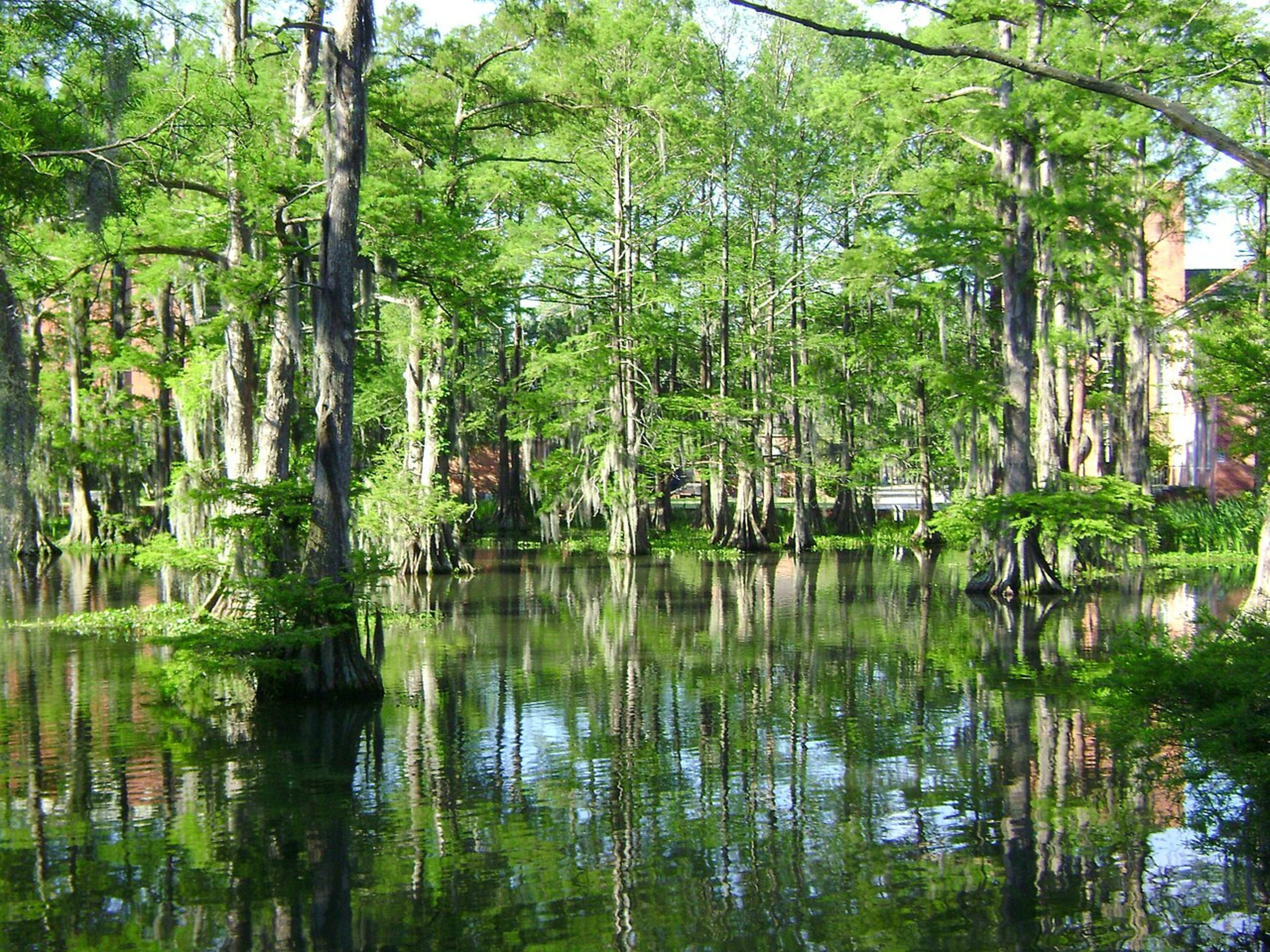 University of Louisiana at Lafayette campus