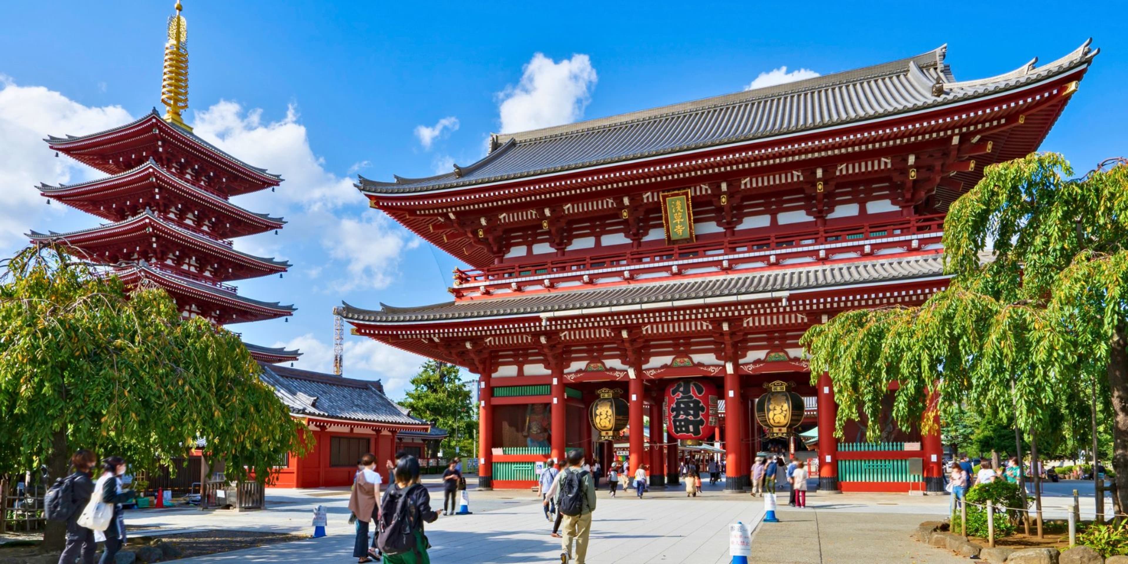 Study in Japan