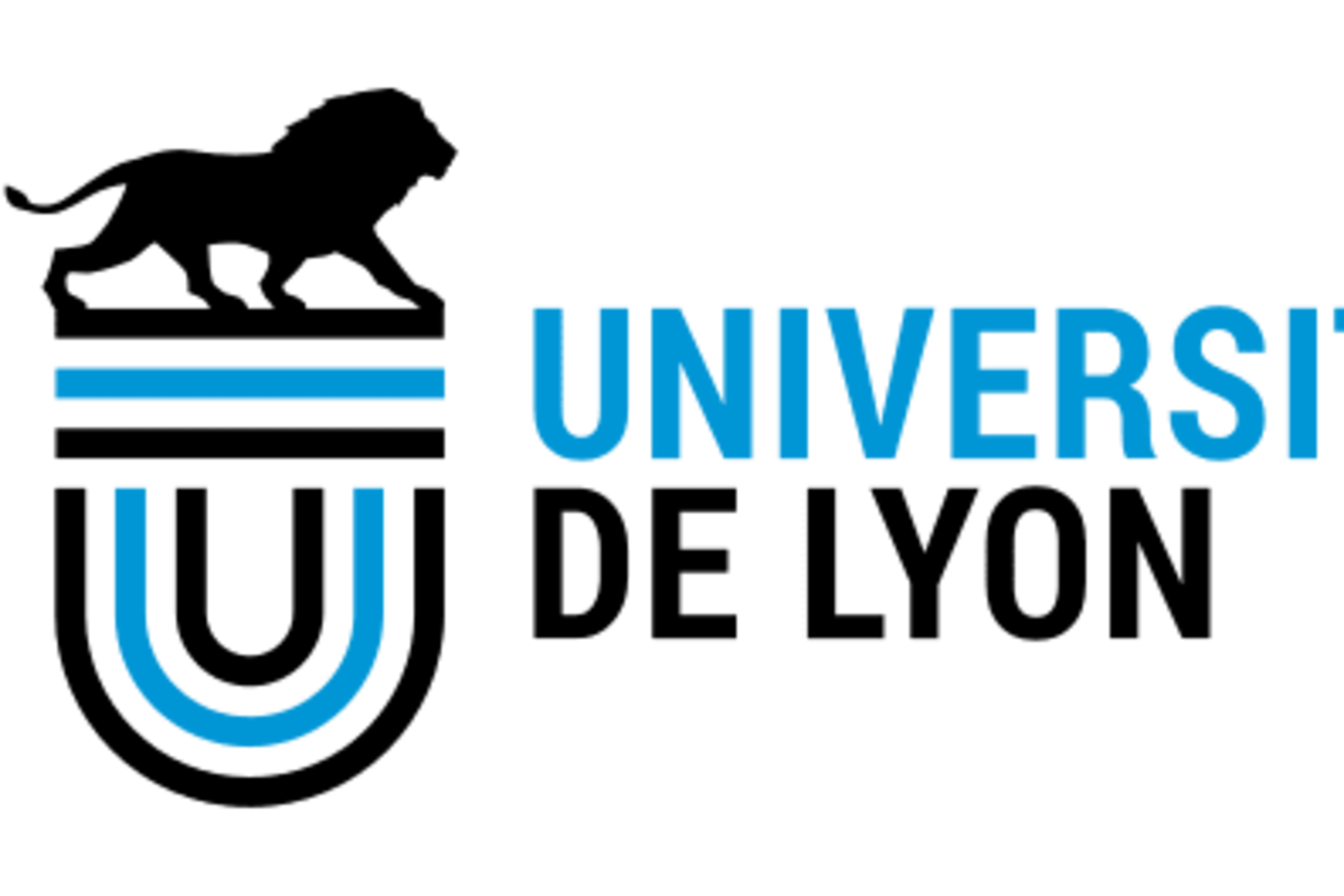 Université de Lyon