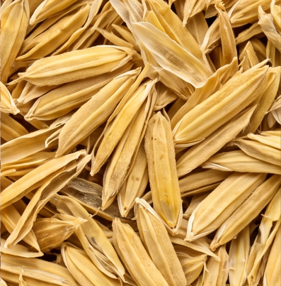 Casca de arroz