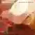 We Share the Same Sun のサムネイル