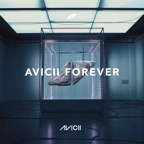 AVICII FOREVER のサムネイル