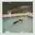 dead girl in the pool. のサムネイル