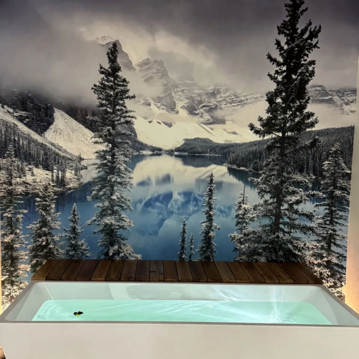 2024 Like New Plunge All-In Cold Plunge Hard-Sided 1 Person 1 HP – Houston, TX