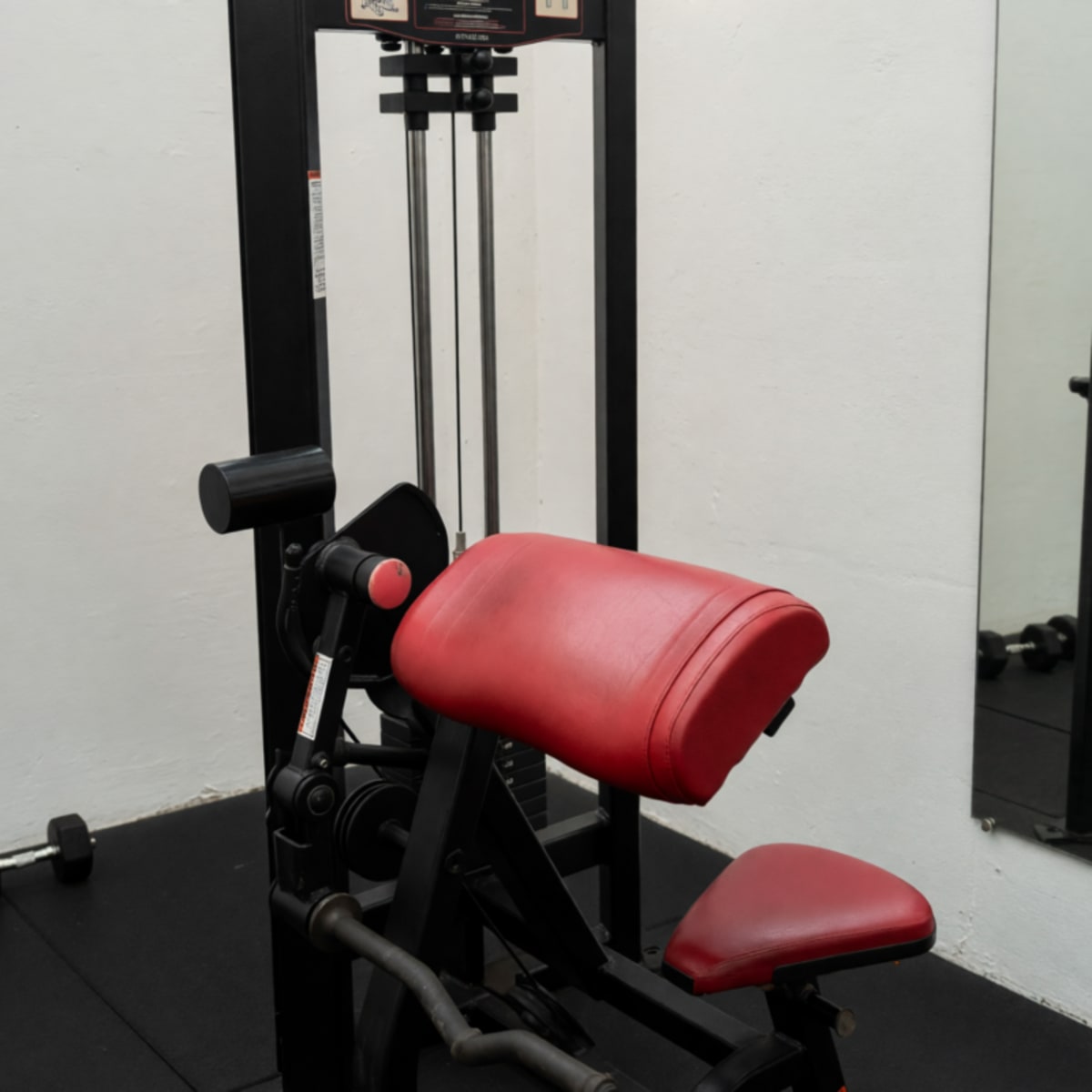 Pro Maximum Raptor Bicep Curl Machine – Good Condition, Pin Loaded – Galveston, TX