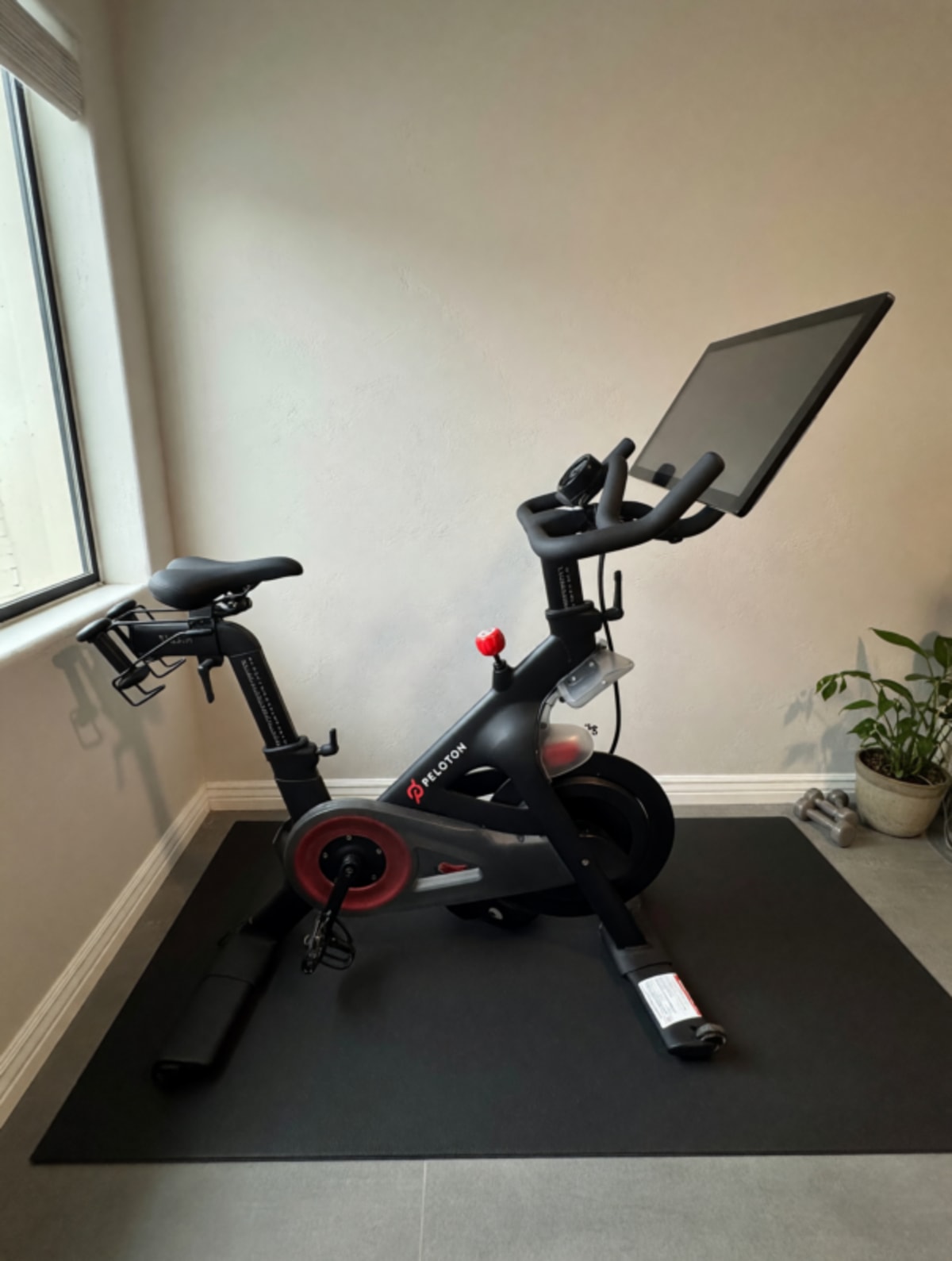 2020 Peloton Bike 2nd Gen – Fair Condition, Includes Weights & Cushion – Scottsdale, AZ