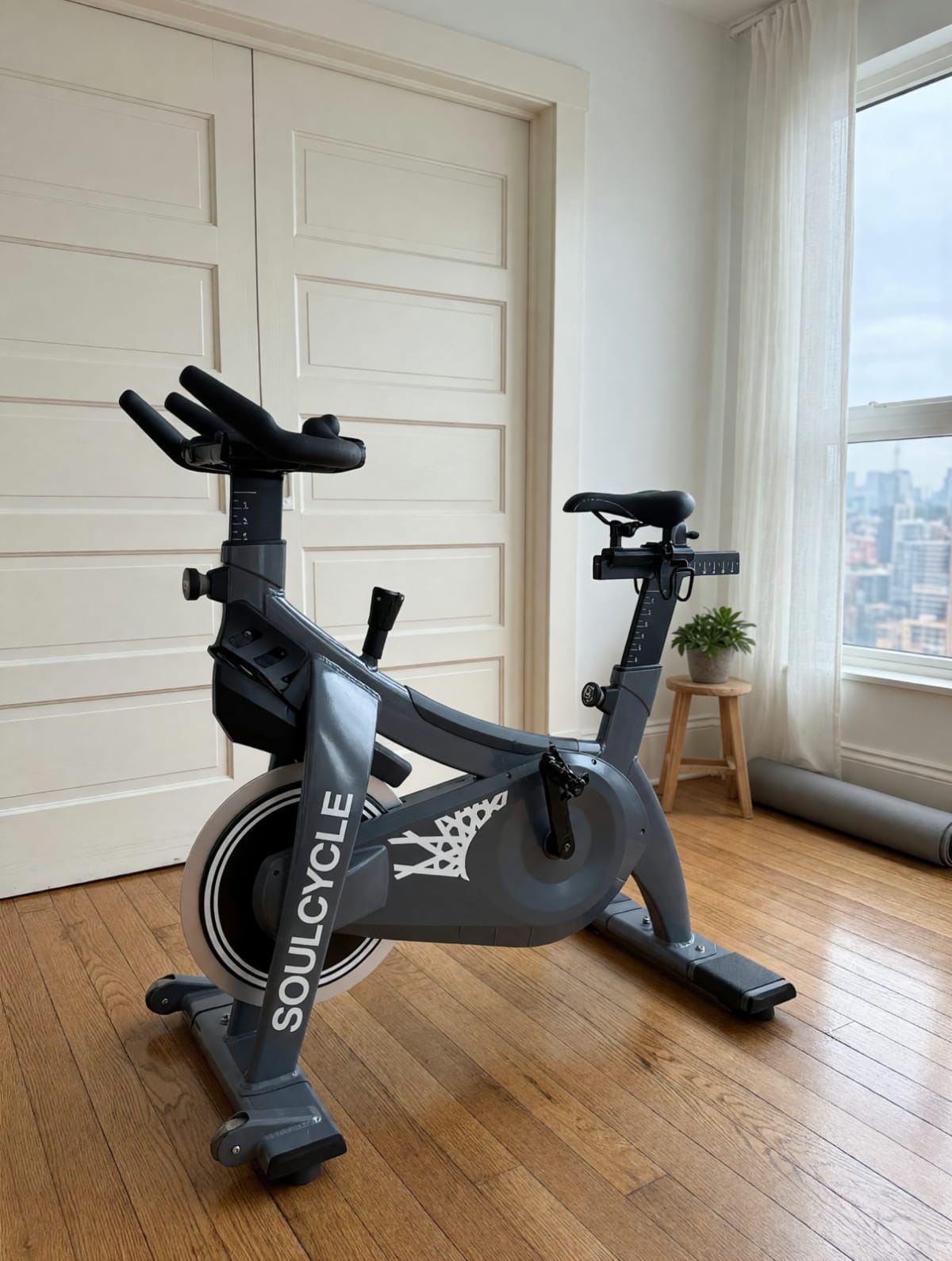 2020 SoulCycle Bike – Good Condition, Adjustable Seat and Handlebars – Savannah, GA