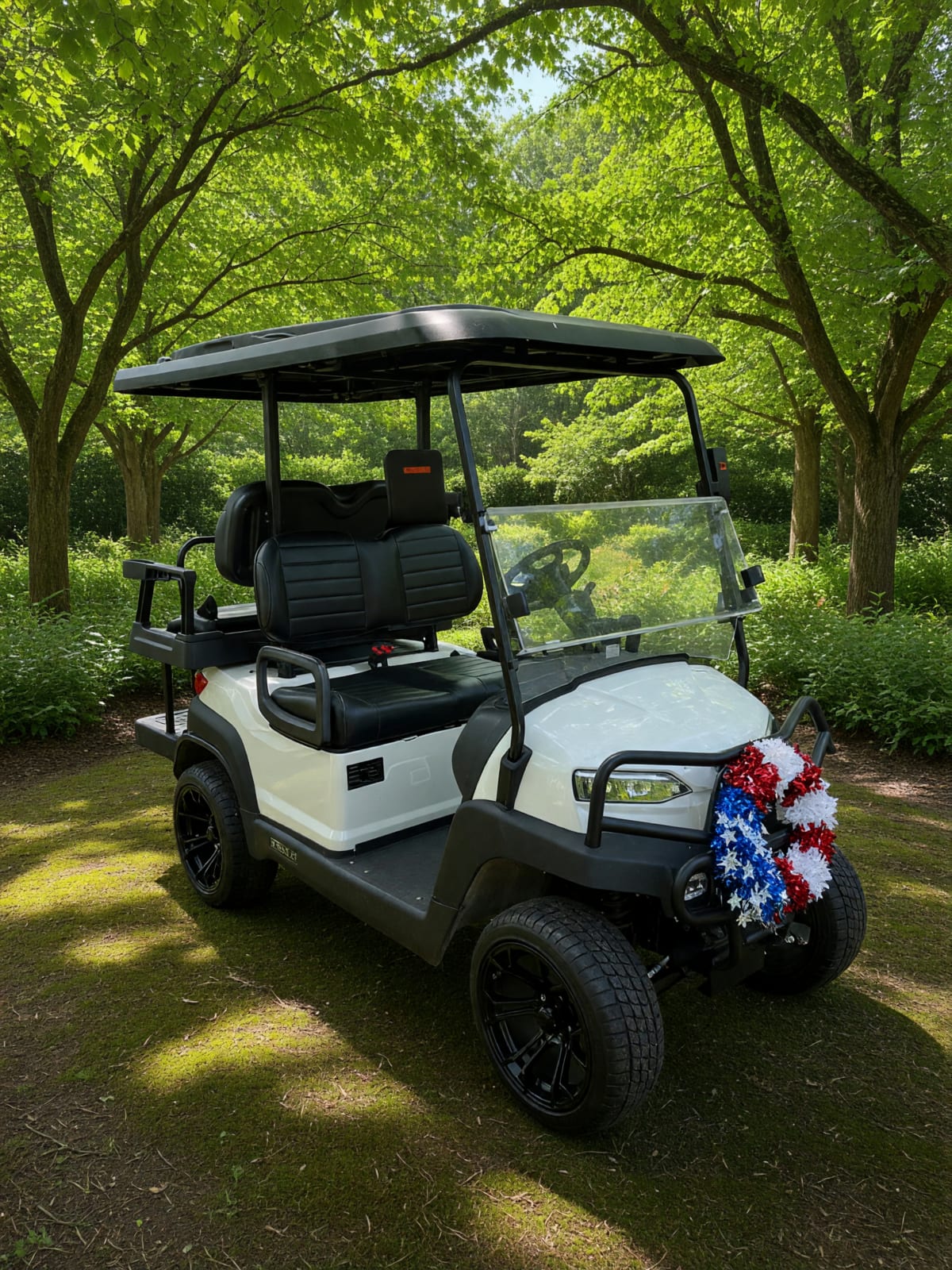 2022 Royal EV 4 Person Golf Cart in Like New Condition