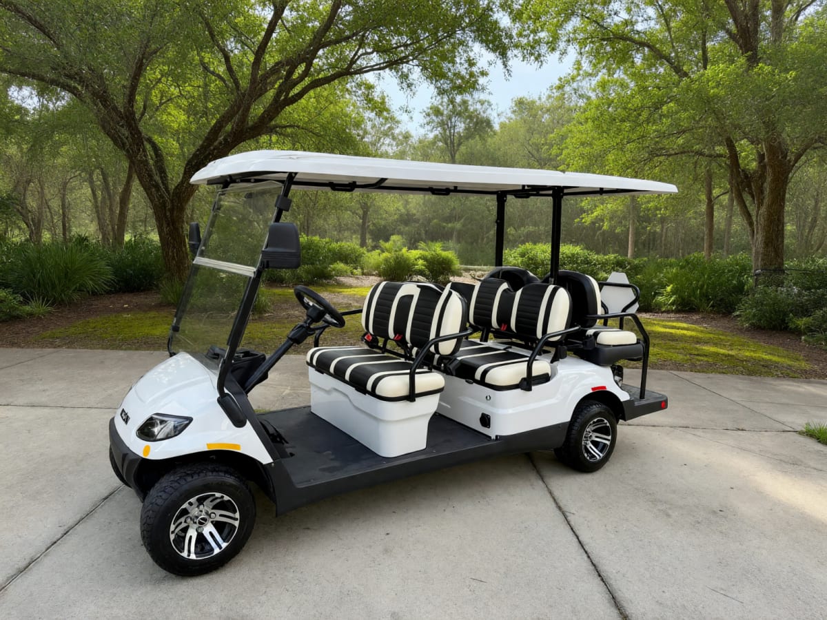 Icon 2024 6-Seater LSMV/Golf Cart/EV in Like New Condition