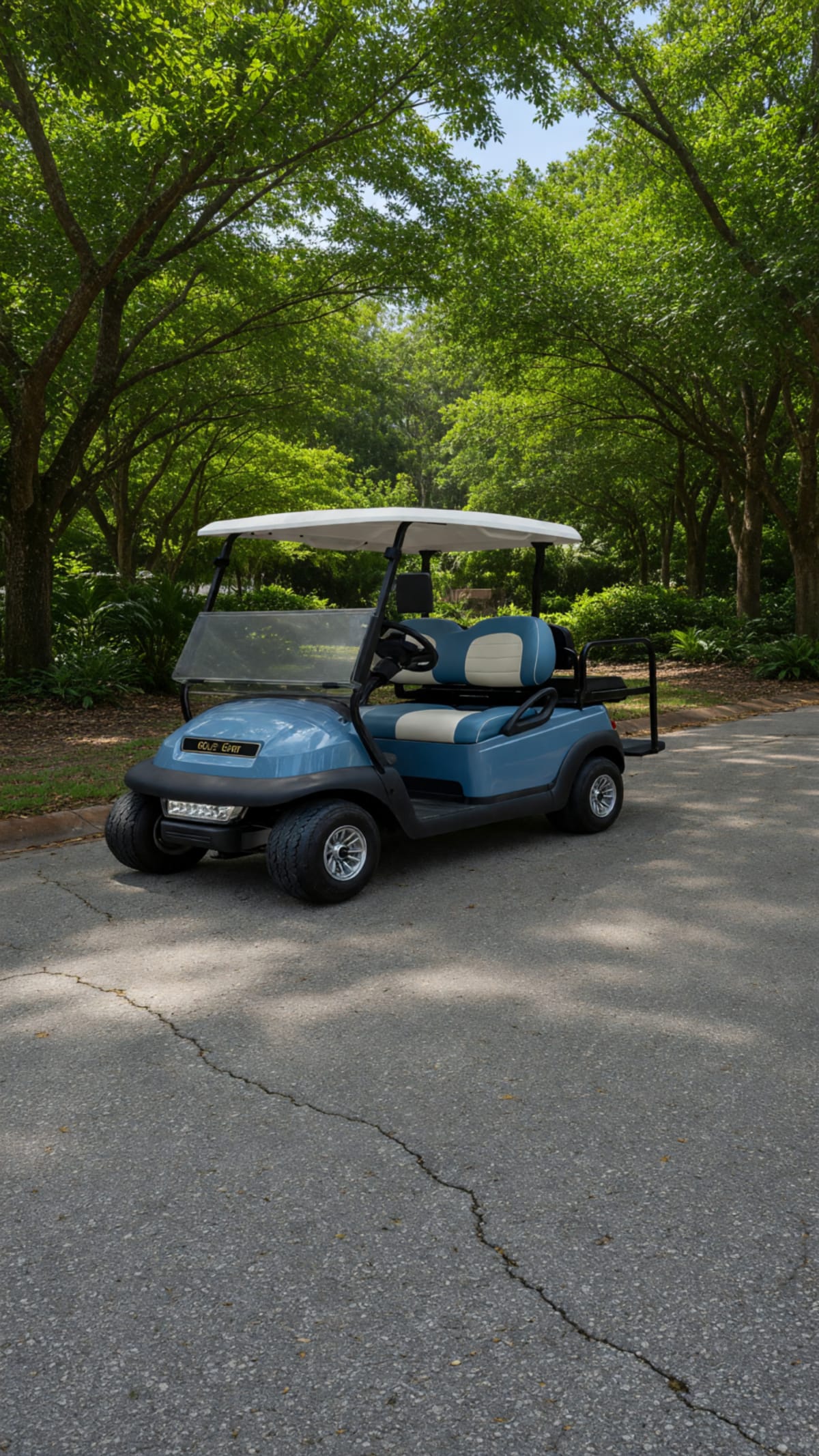 2018 Club Car Precedent Golf Cart in Like New Condition
