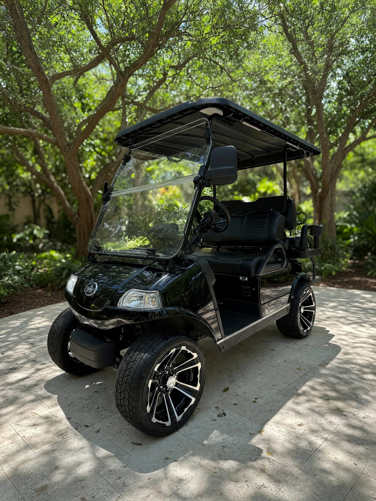 2025 Evolution Classic 4 Pro Lithium Golf Cart in New Condition – Palm Beach Gardens, FL