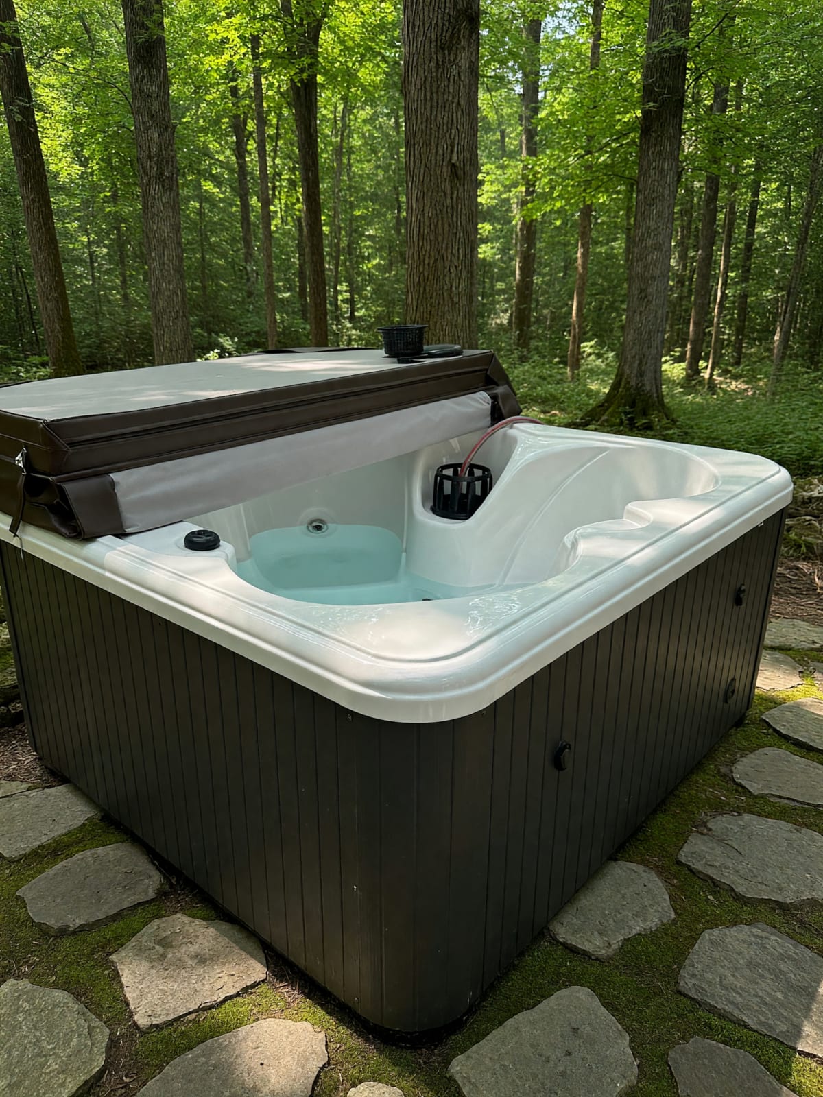 2025 Signature Spa NSS-1000 – Like New, 4-Person 110V Hot Tub – Las Vegas, NV