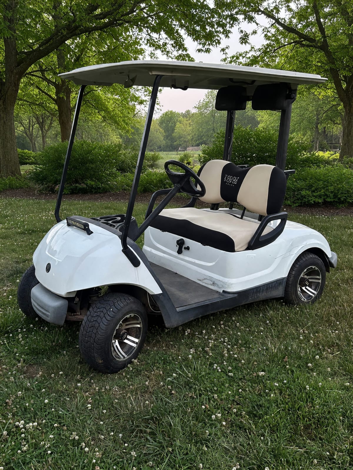 2015 Yamaha Gas Golf Cart in Good Condition – Mt Juliet, TN