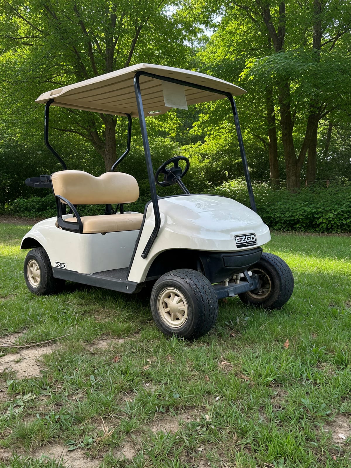 2016 Ezgo Txt Gas in Fair Condition – North Branch, MI