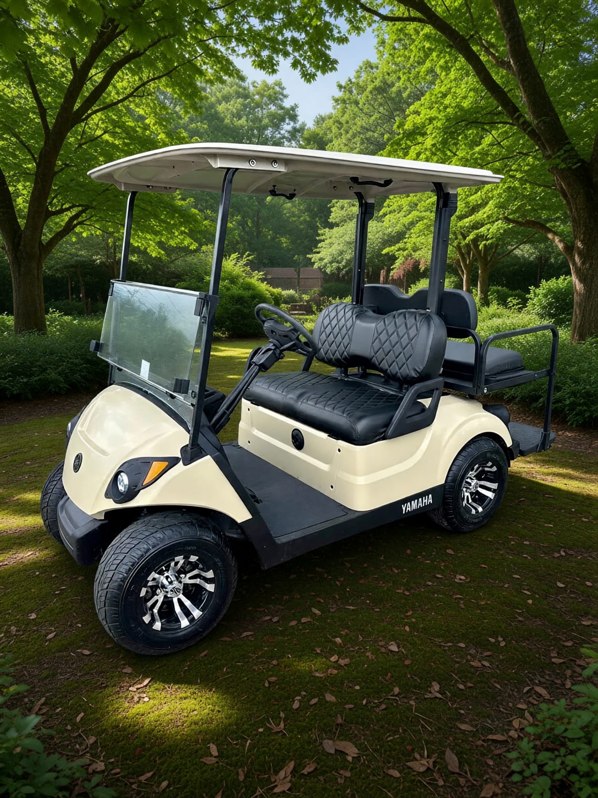 2019 Yamaha Drive 2 Golf Cart – Delavan, WI