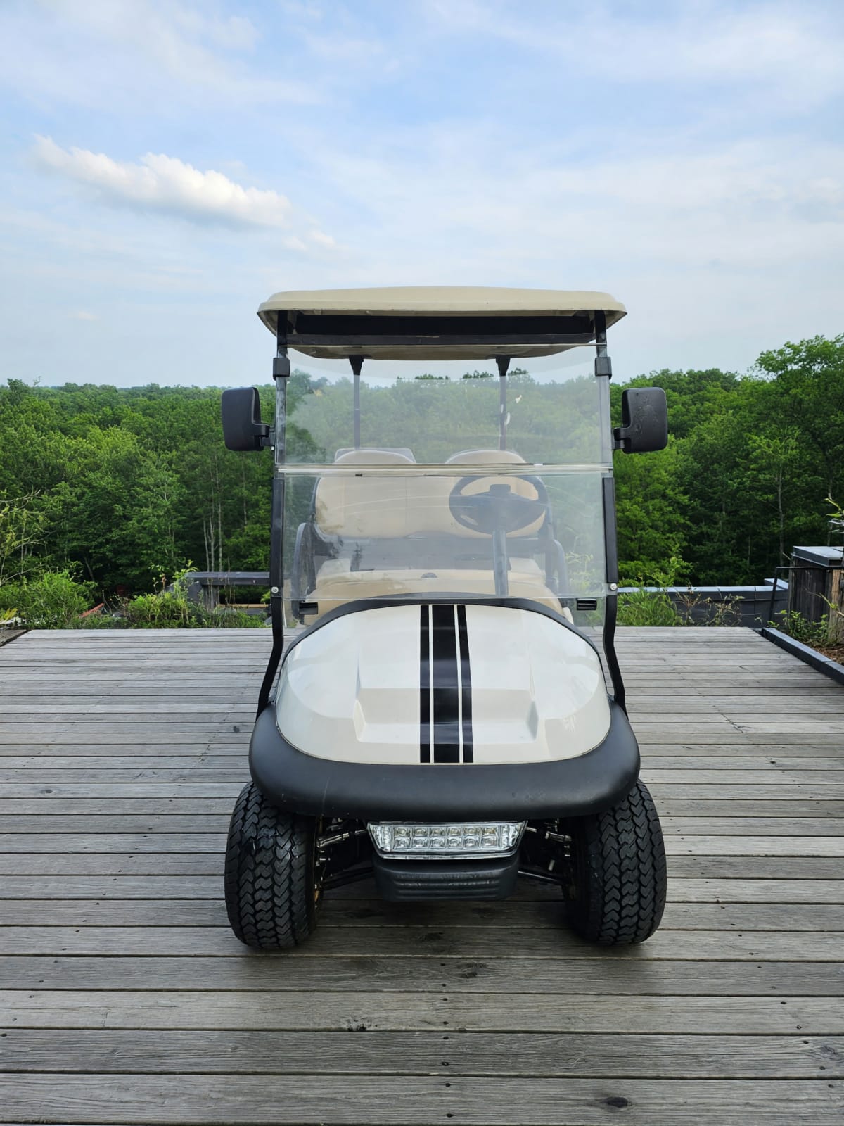 Club Car 2018 Precedent Golf Cart in Like New Condition – Haymarket, VA