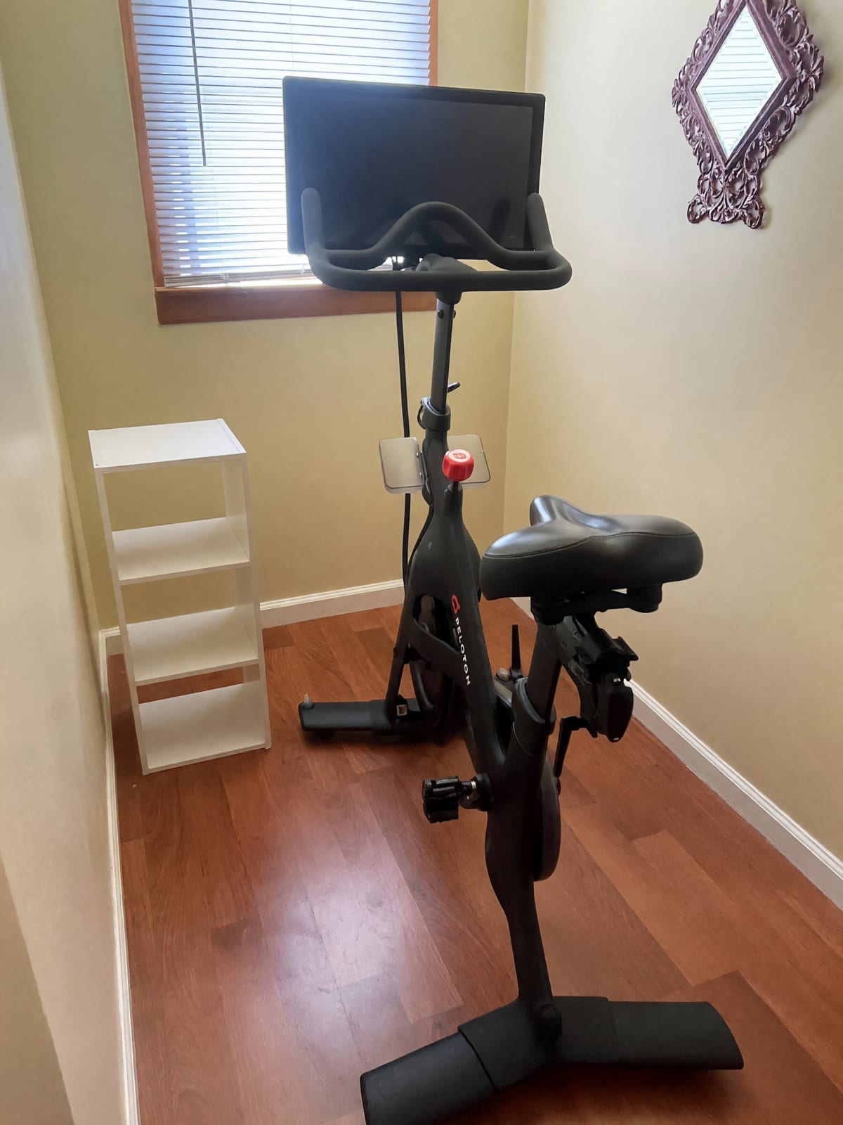 2021 Peloton Bike Like New Includes Shoes M13 & W10 – Albertson, NY