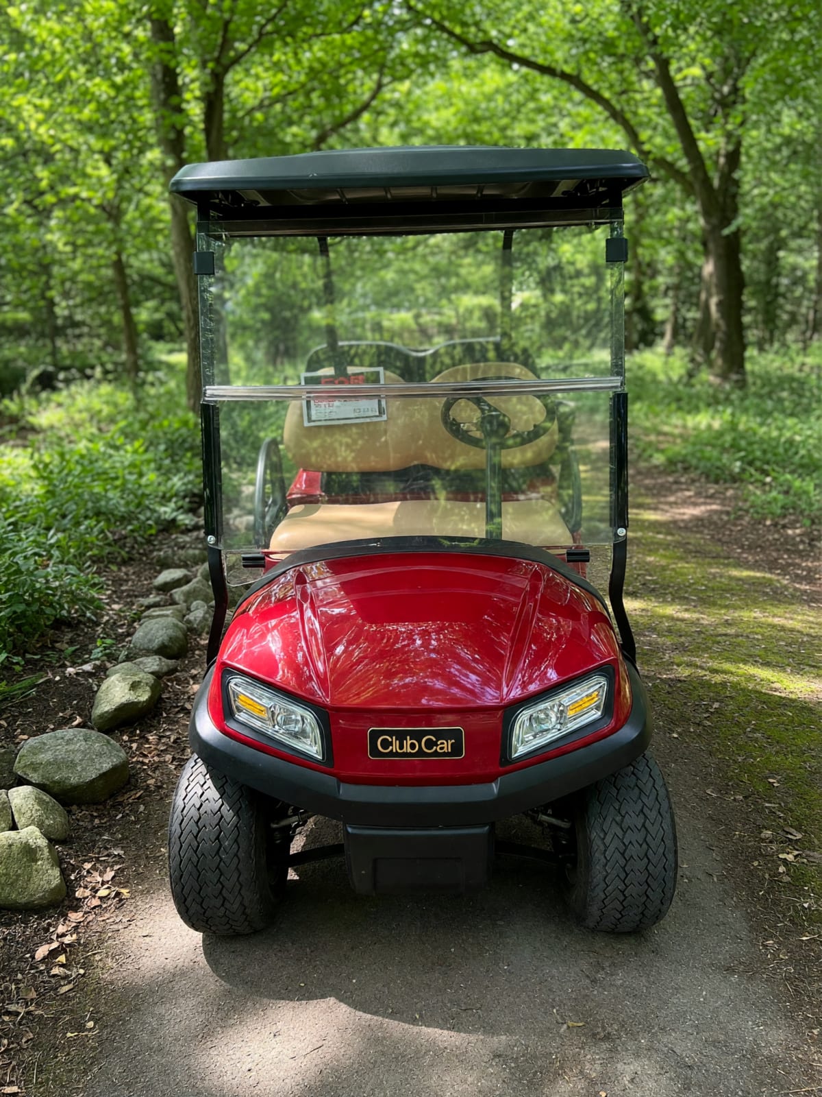 Golf Cart in Like New Condition – Clarkston, MI
