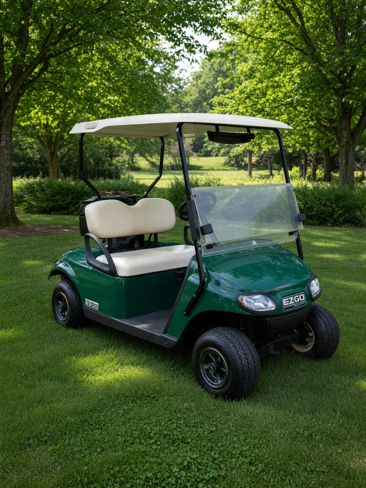 2016 EZGO TXT in Like New Condition – Louisville, KY