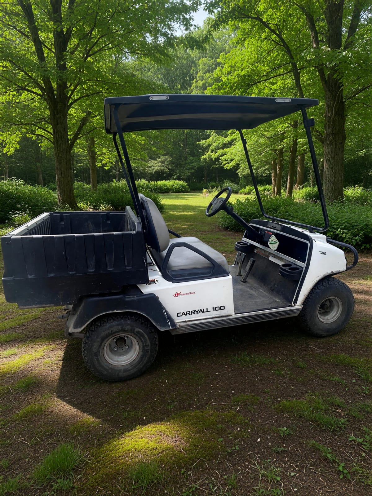 Club Car Carryall 100 Gas Golf Cart in Good Condition – Geneva, OH