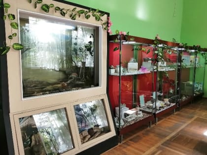 В краеведческом музее обновили зал Донской природы