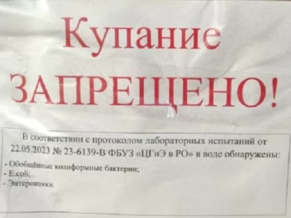Купаться теперь можно только на одном ростовском пляже
