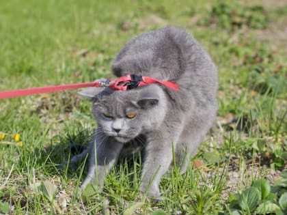 Как после отпуска настроиться на работу: советы психолога