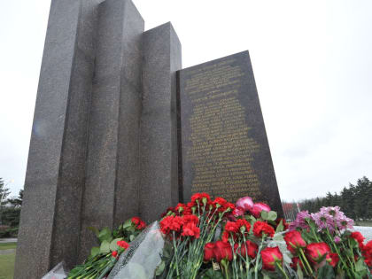 Епископ Таганрогский Артемий совершил литию по жертвам авиакатастрофы Boing-737 в г. Ростове-на-Дону