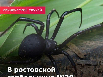 В РОСТОВСКОЙ ОБЛАСТИ МУЖЧИНУ СПАСАЛИ В РЕАНИМАЦИИ ПОСЛЕ ОСЛОЖНЕНИЙ ОТ УКУСА ПАУКА