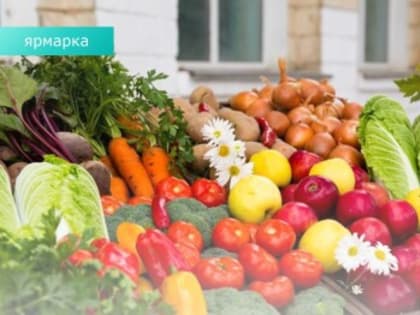 Урожай местных сельскохозтоваропроизводителей в этом году