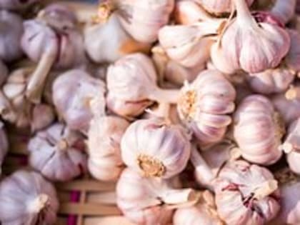 Диетолог объяснила неожиданное влияние чеснока на мозг