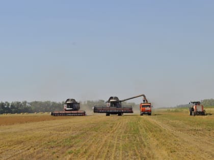 Донской регион стал лидером по агропромышленному экспорту в РФ