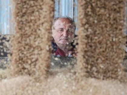 На складах Ростовской области скопилось более 2,6 млн тонн не проданного из-за санкций зерна