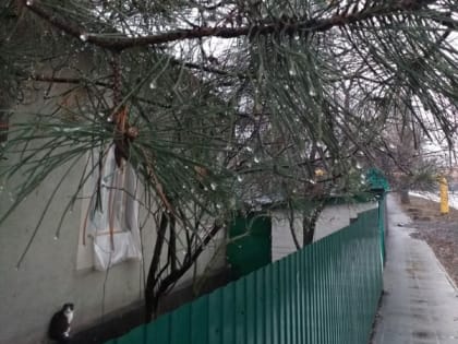 Пасмурное и теплое начало рабочей недели ждет шахтинцев