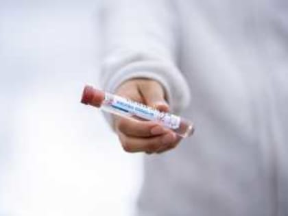 За сутки в Ростовской области заблокировали 30 сайтов, торговавших лекарствами для диабетиков