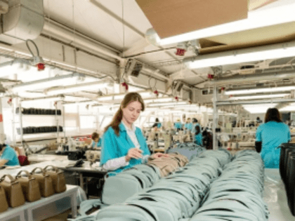 Светлана Камбулова ознакомилась с деятельностью группы компаний «Евролайн»