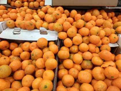 Ростовчане закупаются продуктами, как в последний раз в жизни