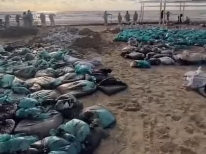 Юрий Слюсарь опроверг информацию о том, что кубанский песок с мазутом будет утилизироваться в Ростовской области