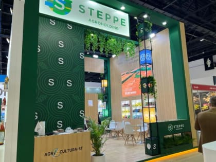 Донские аграрии поставят 250 тысяч тонн зерна в Африку