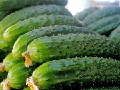 В Ростовской области поднялись в цене фрукты и овощи почти на 20%