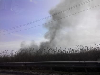 Горит камыш: в Азовском районе районе тушат ландшафтный пожар