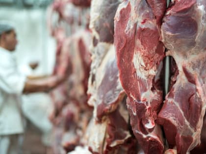 Цены на мясо в Таганроге заметно возросли
