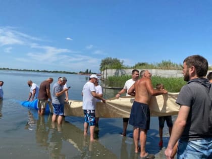 Новые горизонты для морских портов России